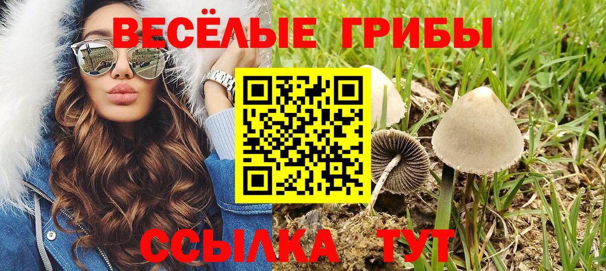 Псилоцибиновые грибы мицелий  Вход с VPN  Тимашёвск 