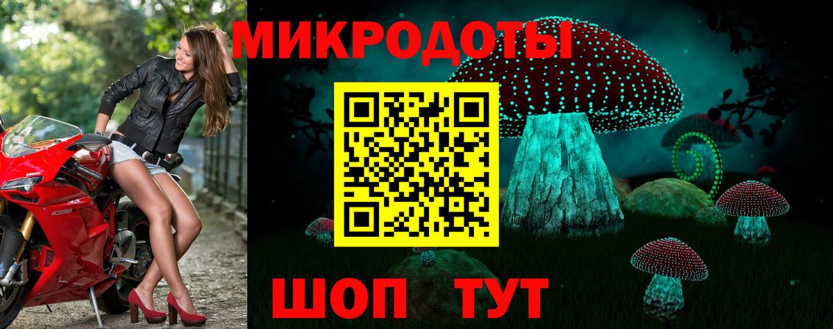 Галлюциногенные грибы мухоморы Тимашёвск